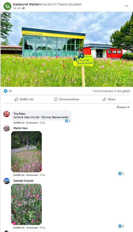 Ein Screenshot eines Facebook Posts von dem Stadtportal Walldürn mit den Kommentaren