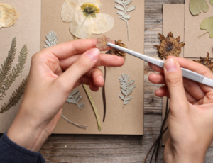 Frau setzt Trockenblumen in ein Herbarium